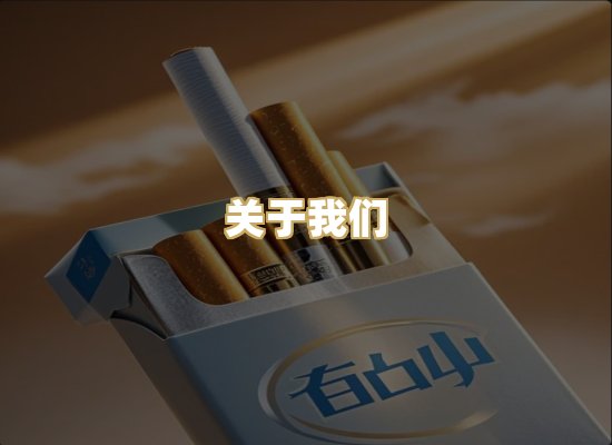 关于我们